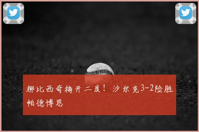 柳比西奇梅开二度!沙尔克3-2险胜帕德博恩