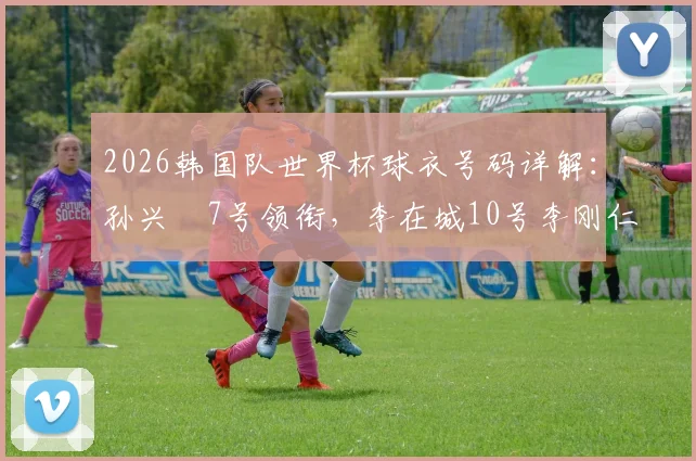 2026韩国队世界杯球衣号码详解：孙兴慜7号领衔，李在城10号李刚仁19号，主力球员号码全解析