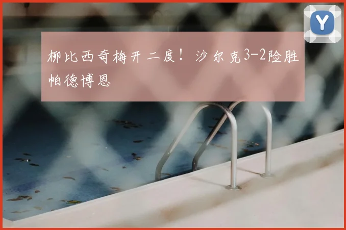 柳比西奇梅开二度！沙尔克3-2险胜帕德博恩
